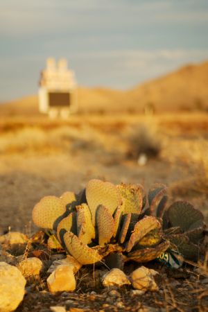 c12-Las Vegas 5.jpg